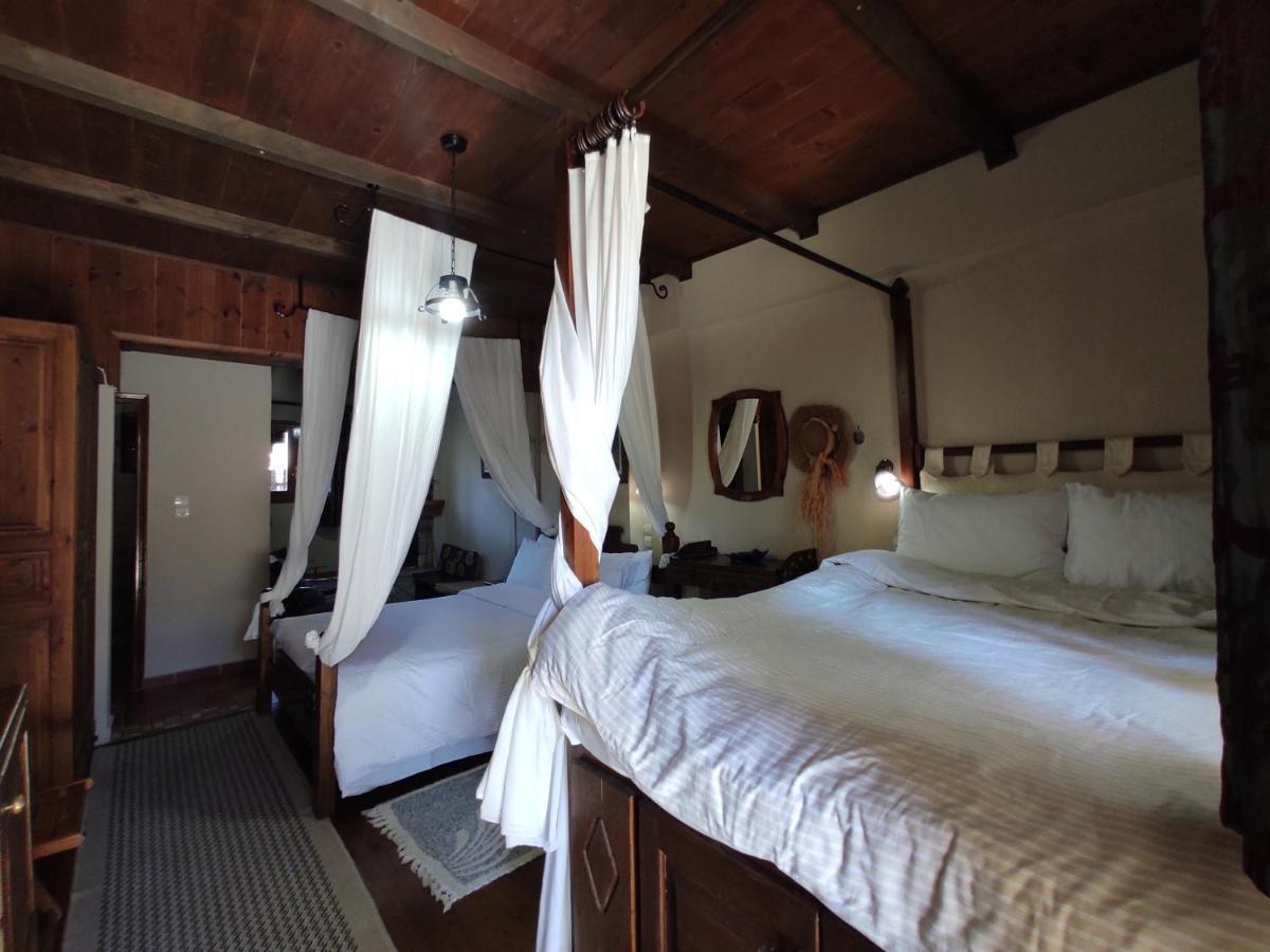 Hotel Xenonas Brizi à Eláti Extérieur photo