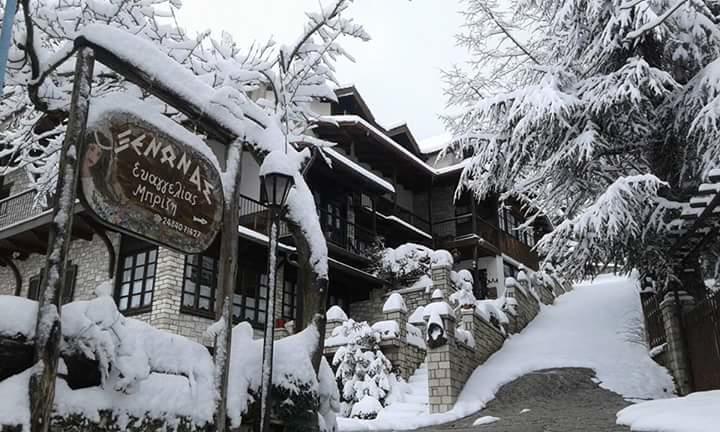 Hotel Xenonas Brizi à Eláti Extérieur photo