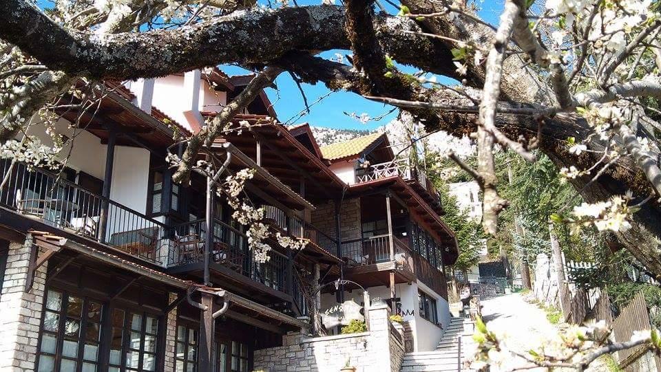 Hotel Xenonas Brizi à Eláti Extérieur photo