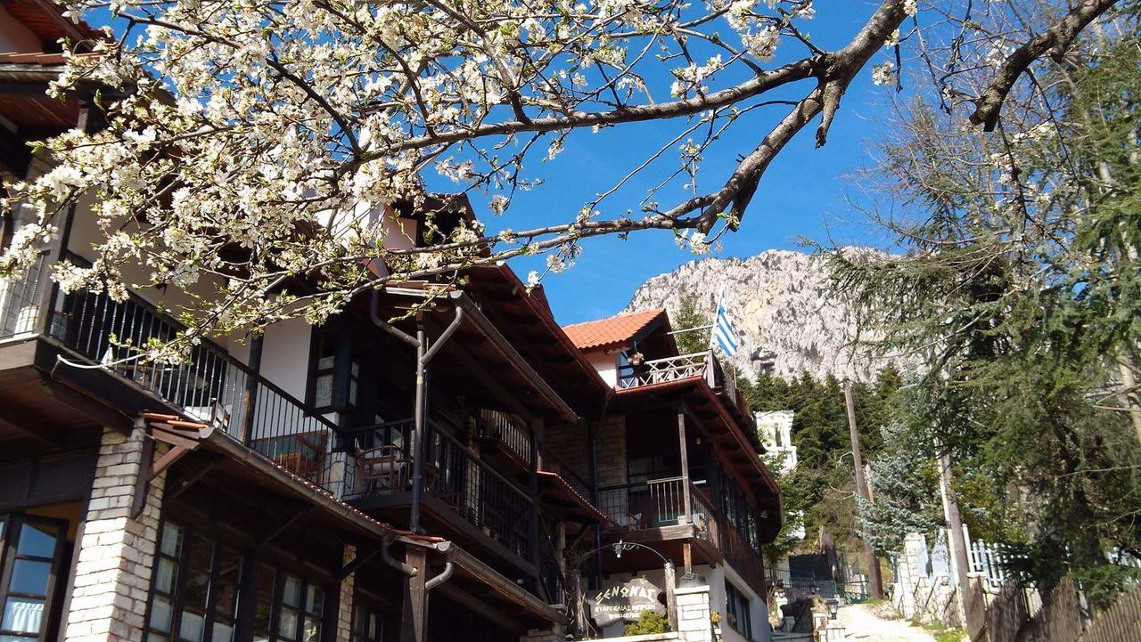 Hotel Xenonas Brizi à Eláti Extérieur photo
